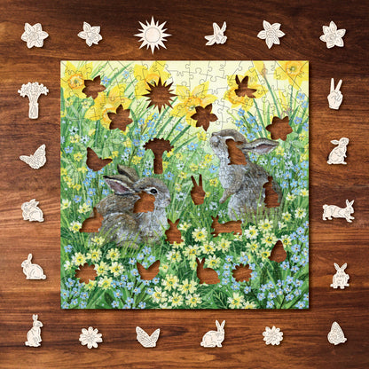 Sunshine & Spring Flowers