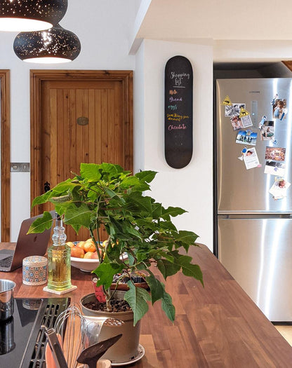 Venom Skateboards Kids Matt Black Chalkboard / Message Board / Bedroom Door Sign Skateboard Deck With Chalk Pack