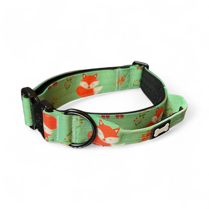 Inquisitive Fox Tactical Dog Collar