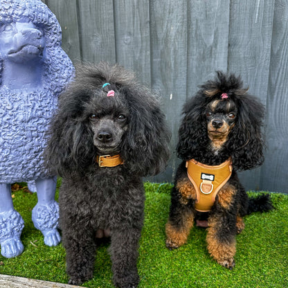 Alfresco Pup faux leather dog harness - camel colour adjustable dog harness