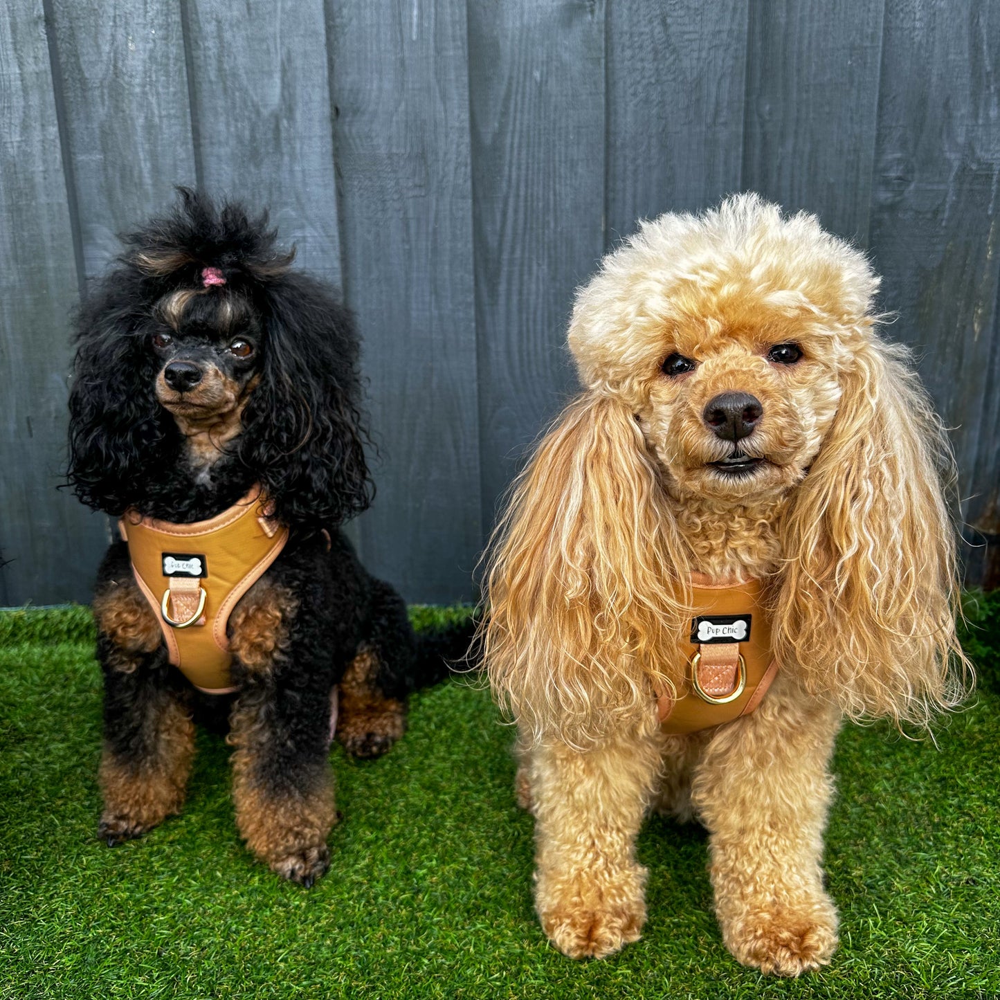 Alfresco Pup faux leather dog harness - camel colour adjustable dog harness