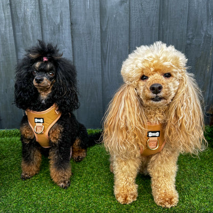 Alfresco Pup faux leather dog harness - camel colour adjustable dog harness