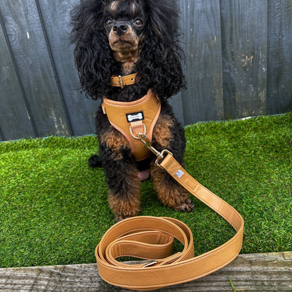 Alfresco Pup vegan leather 5ft dog lead