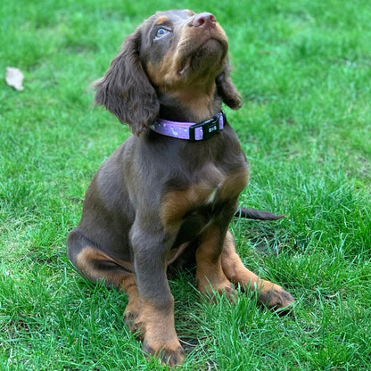 Daydreams and Unicorns Collar