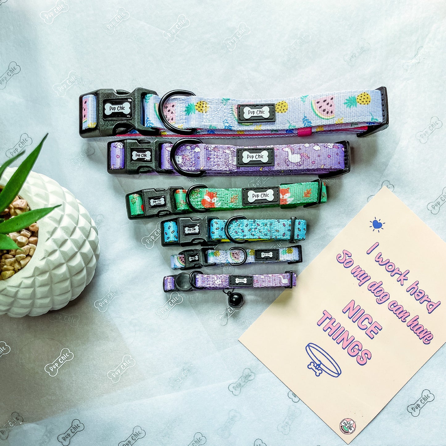 Inquisitive Fox Collar