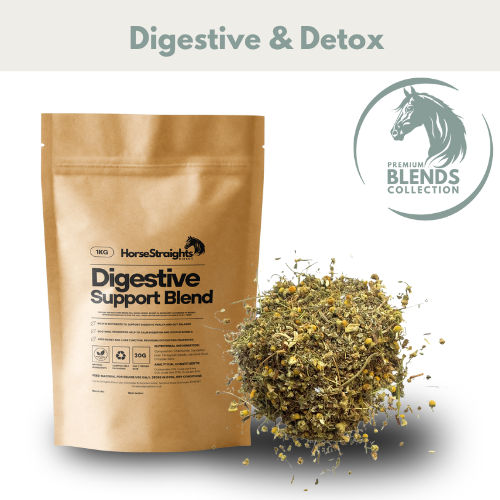 Digestive Support Blend