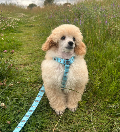 Otterly Lovely XXXS Puppy Harness