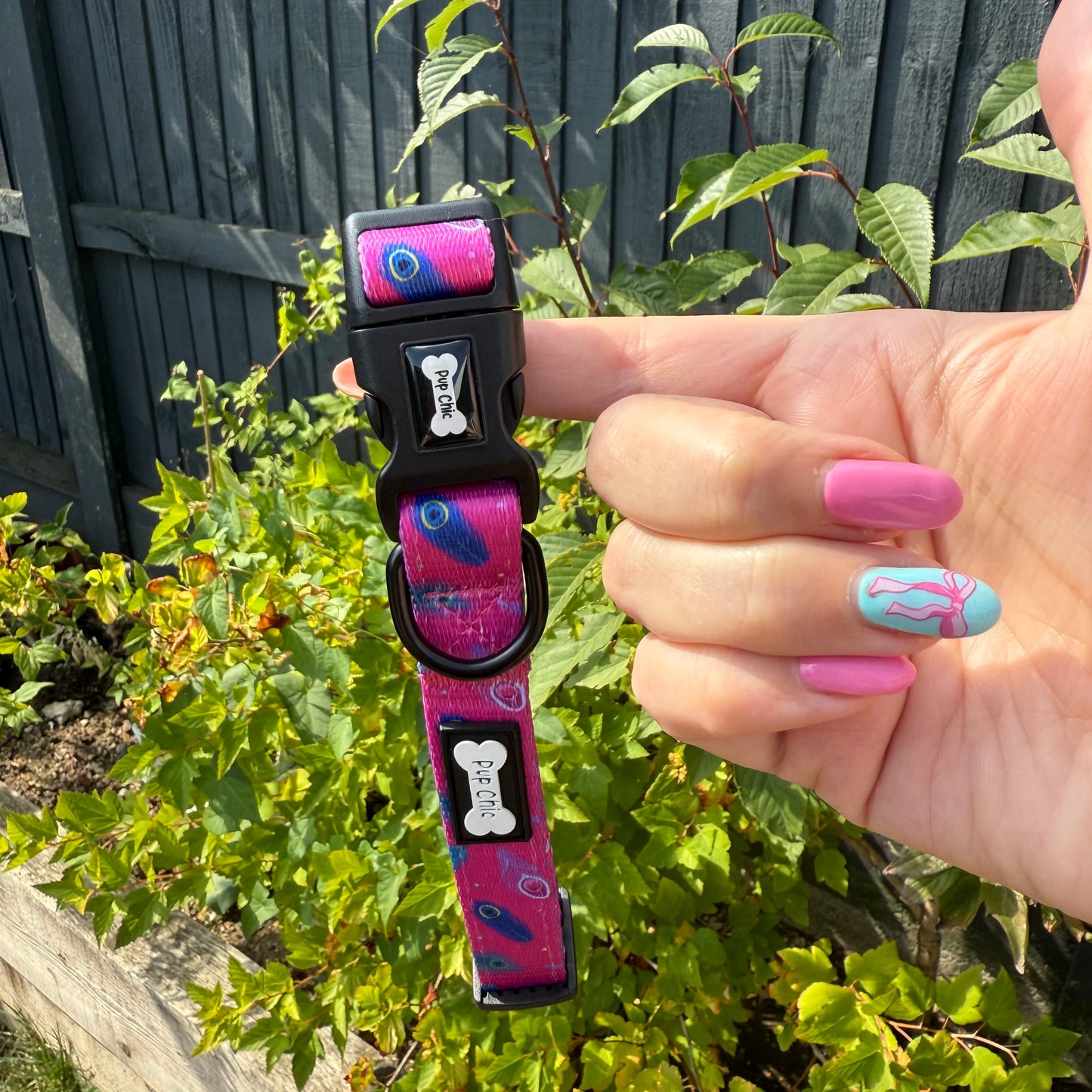 Peacock Power Dog Collar: Stylish, Durable, and Comfortable for Your Dog