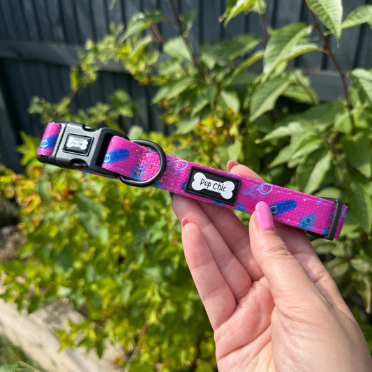 Peacock Power Dog Collar: Stylish, Durable, and Comfortable for Your Dog