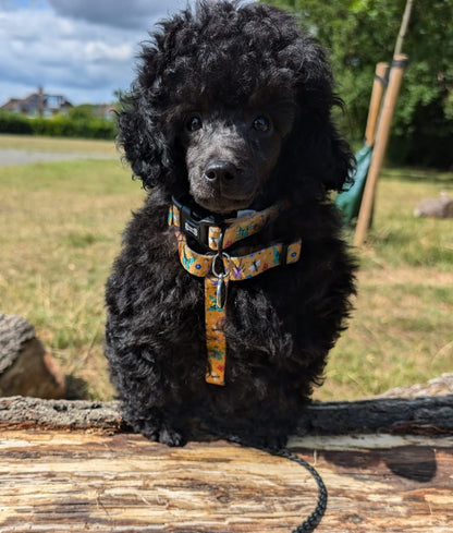 Summer Buzzin’ puppy XXXS strap harness