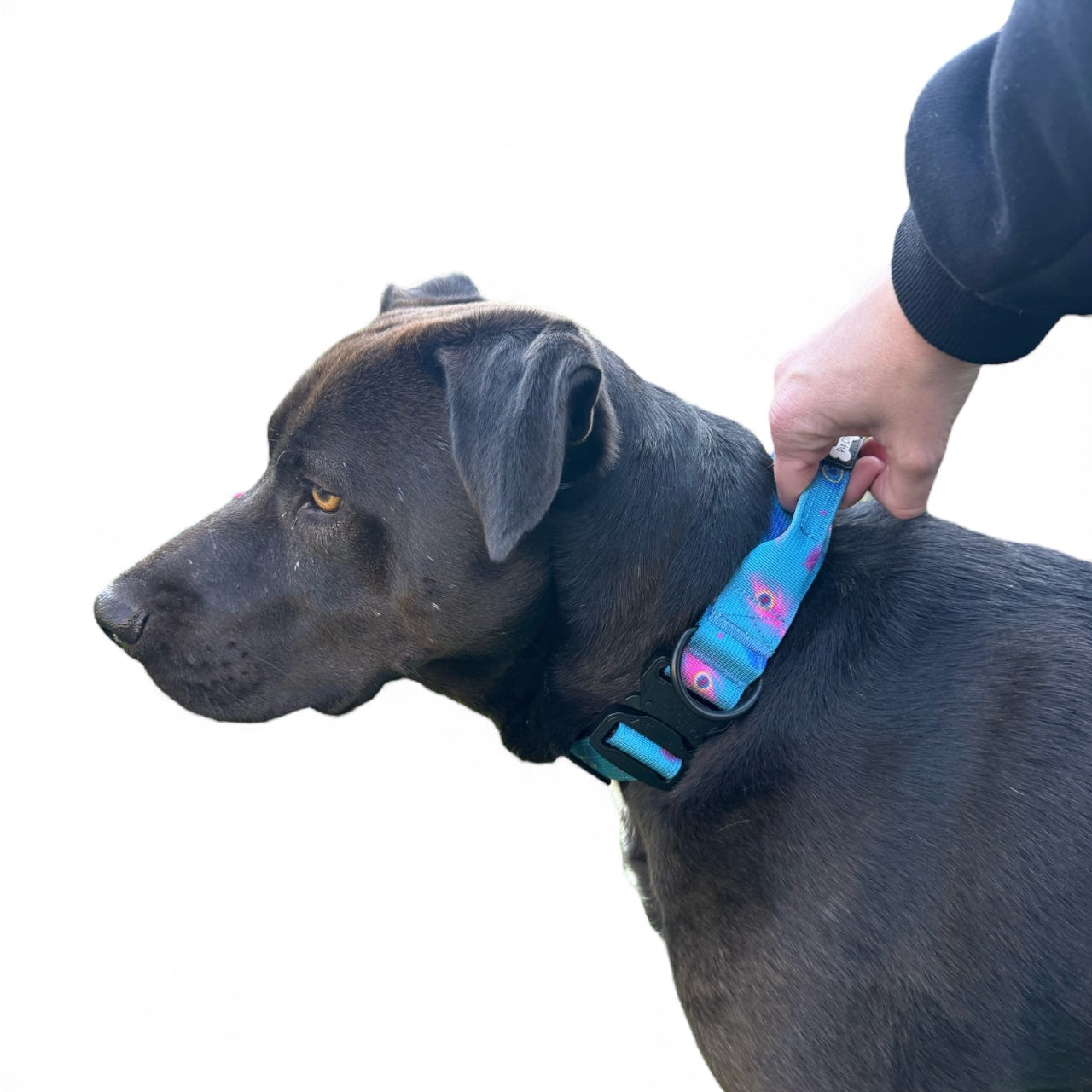 Power Peacock Adjustable & Tactical Dog Collars
