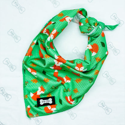 Inquisitive Fox Cooling Bandana