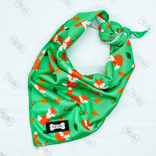 Inquisitive Fox Cooling Bandana