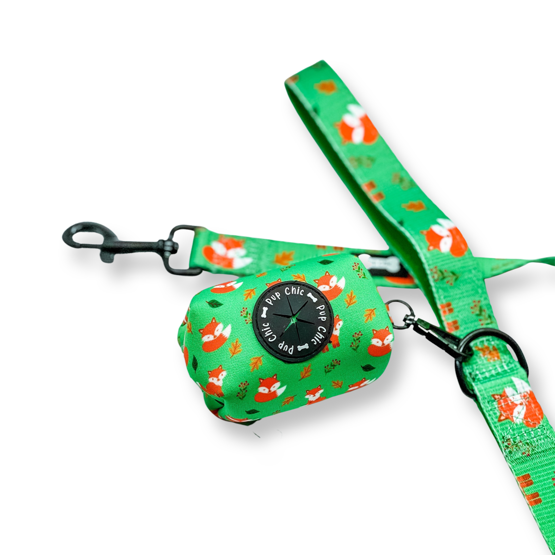 Inquisitive Fox 5ft Dog Lead