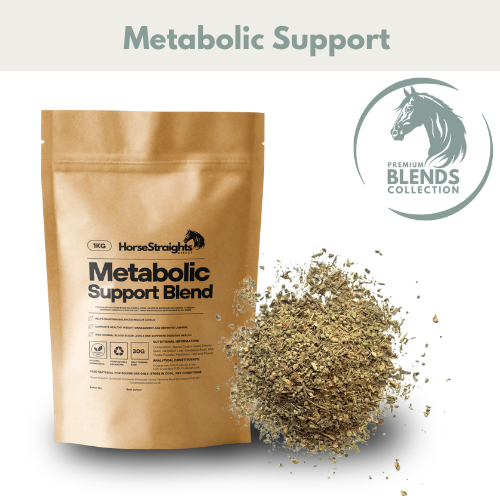Metabolic Support blend
