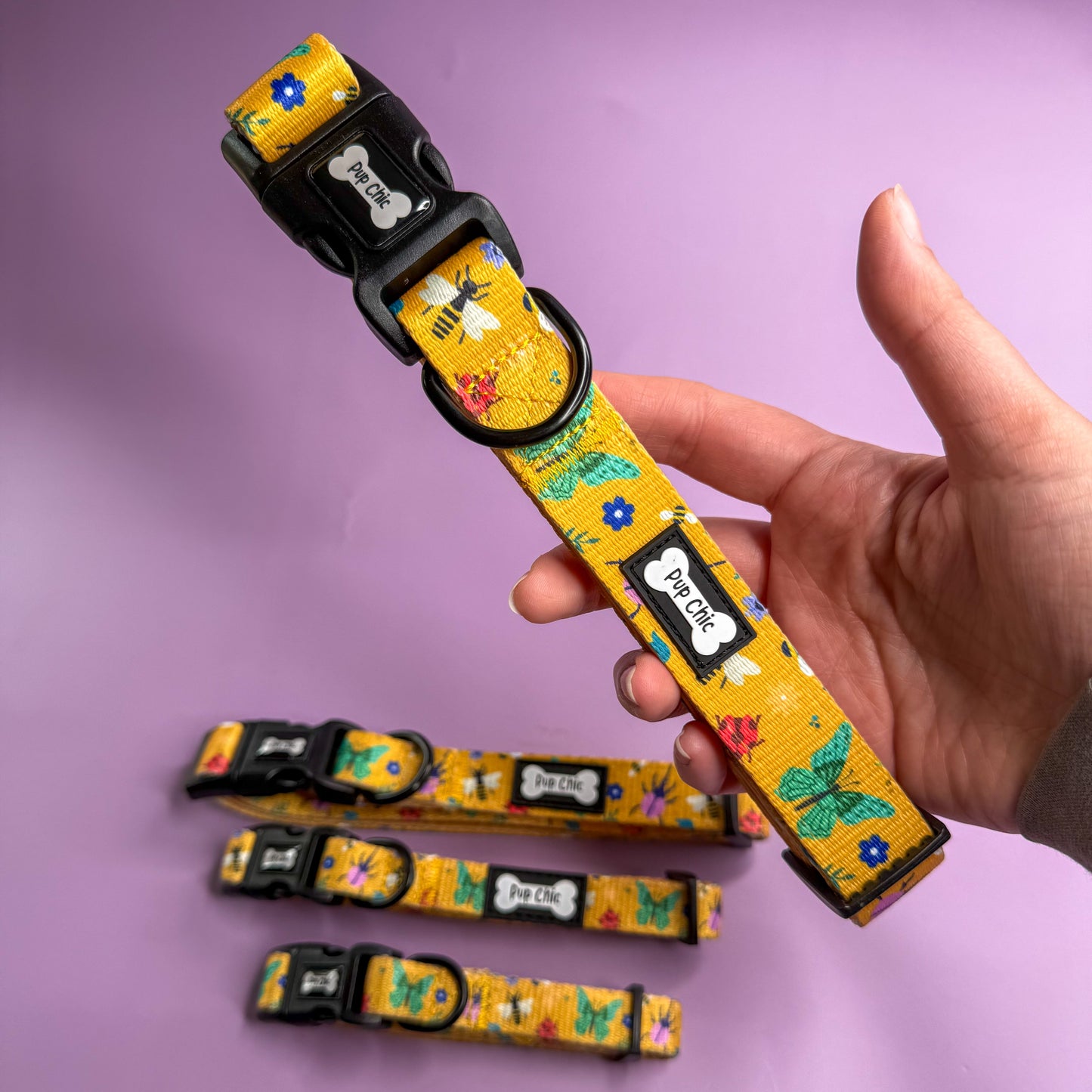 Summer Buzzin’ Dog Collar