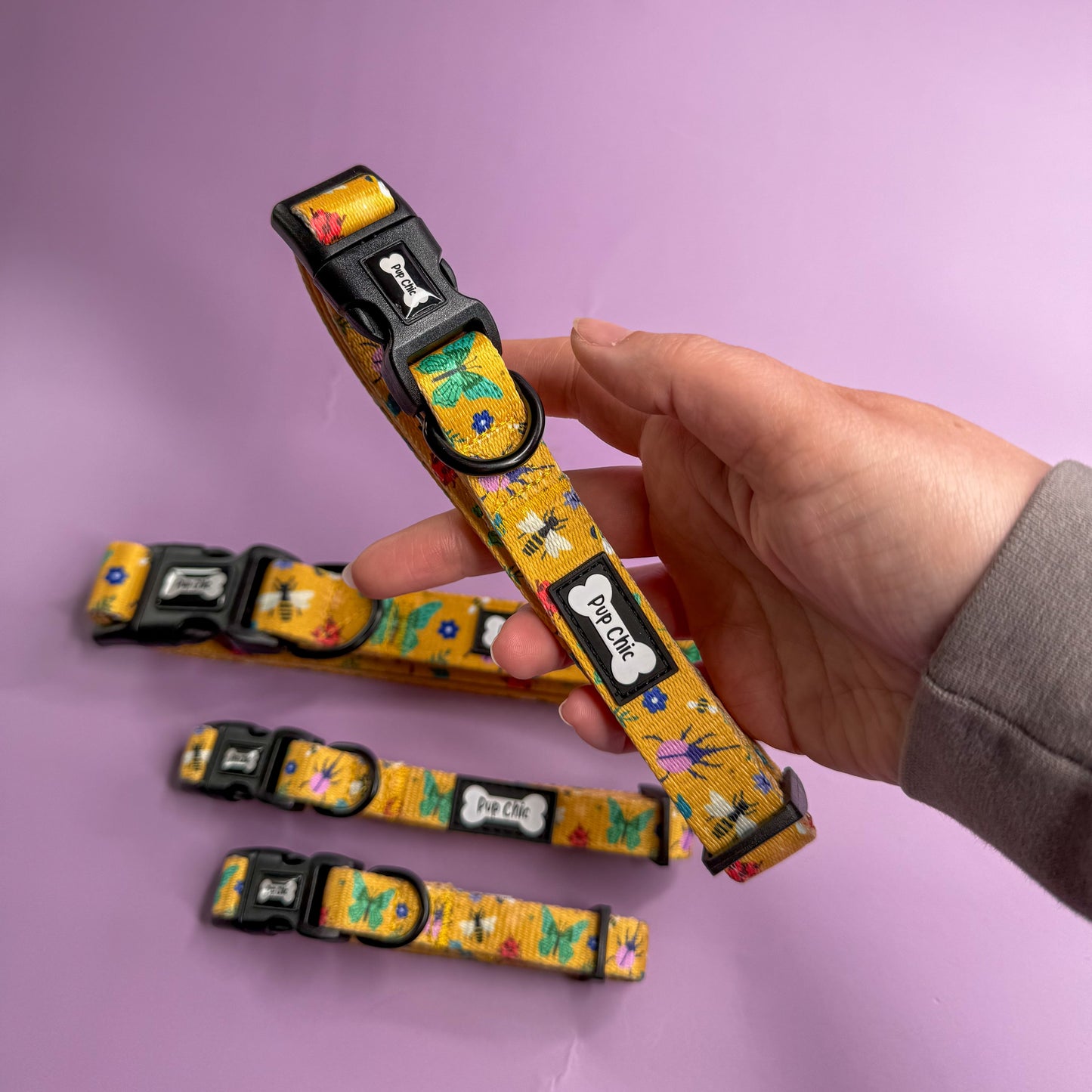 Summer Buzzin’ Dog Collar