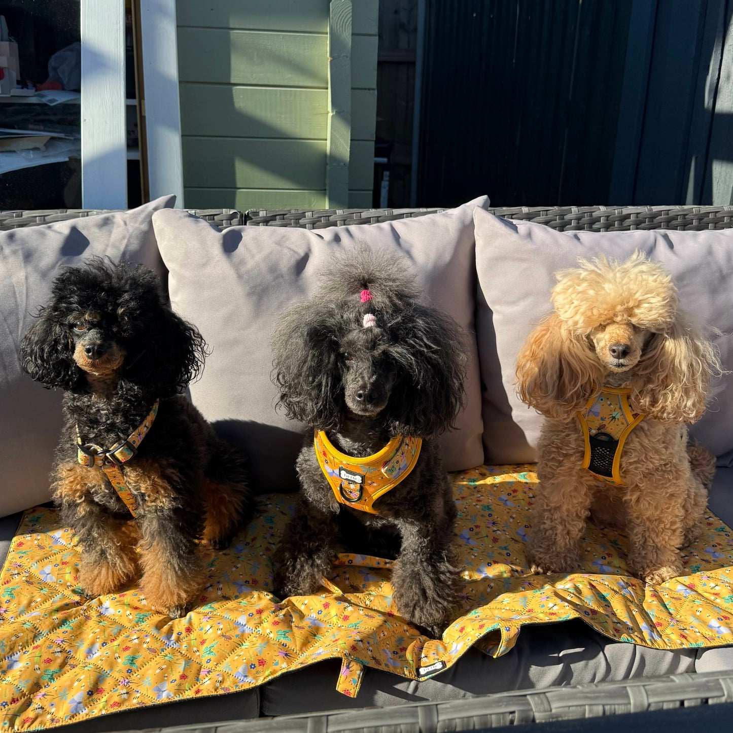 Summer Buzzin' Dog Settle Mat – Lightweight, Waterproof & Travel-Friendly