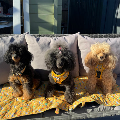 Summer Buzzin' Dog Settle Mat – Lightweight, Waterproof & Travel-Friendly