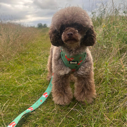 Inquisitive Fox XXS Puppy Harness
