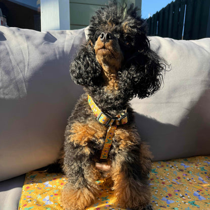 Summer Buzzin’ puppy XXXS strap harness