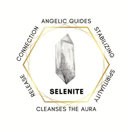 USA Organic Dried Sage Set