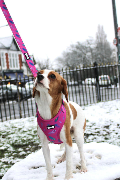Peacock Power Adjustable Dog Harness - hot pink peacock feather dog harness
