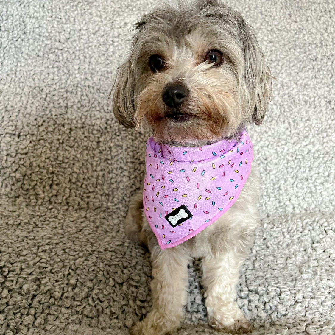 Sprinkles For Days Cooling Bandana - Pink