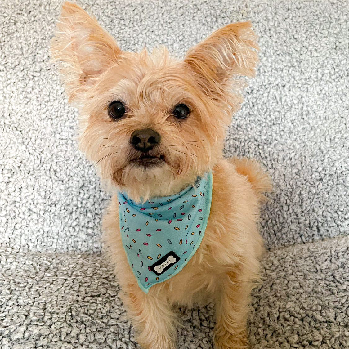 Sprinkles For Days Cooling Bandana - Blue